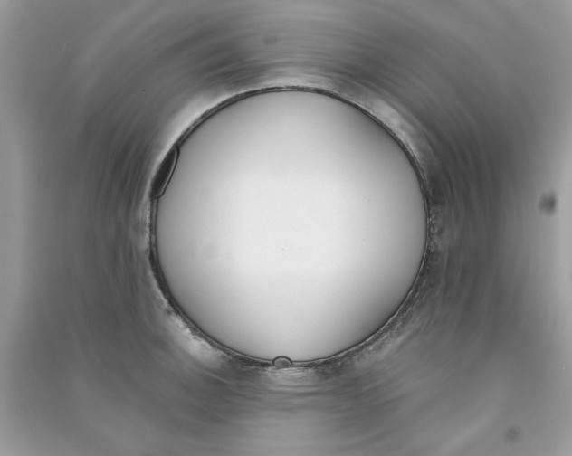 X0000090751140200708172022