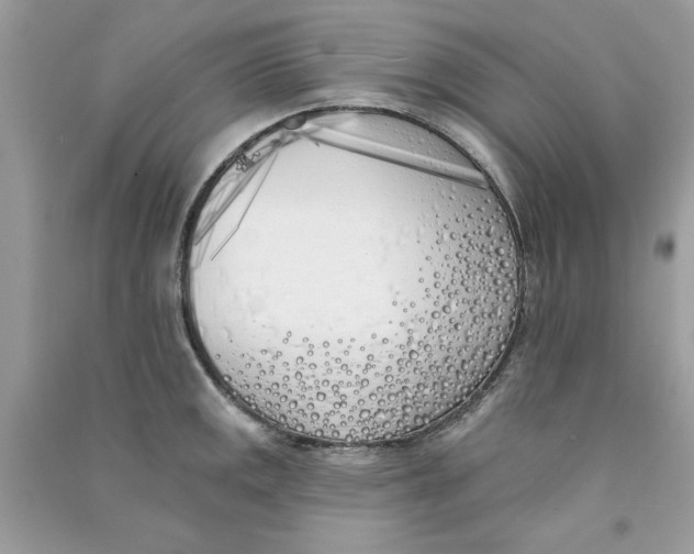 X0000090751141200708172022