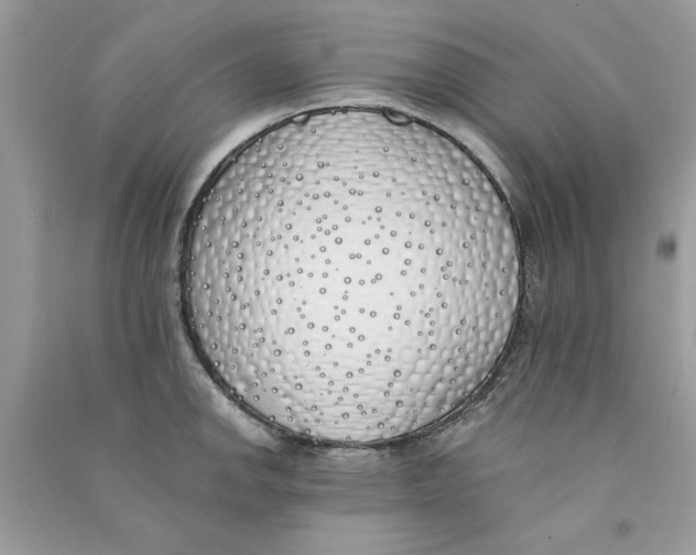 X0000090751142200708172022