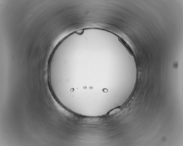 X0000090751143200708172022