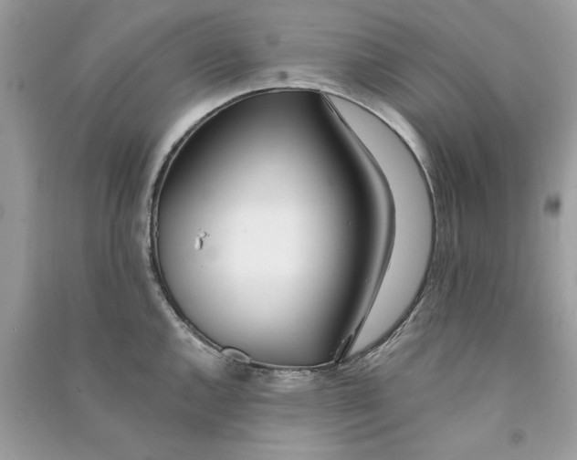 X0000090751144200708172022