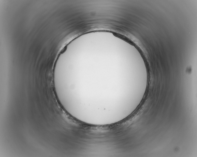 X0000090751145200708172022