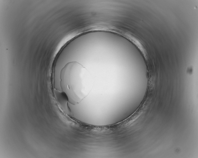 X0000090751146200708172022