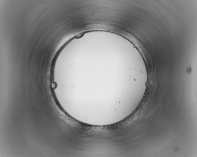 X0000090751147200708172022