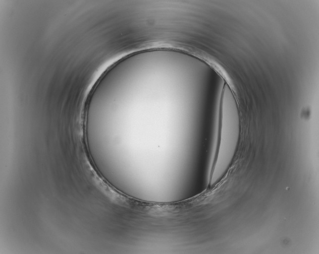 X0000090751148200708172022