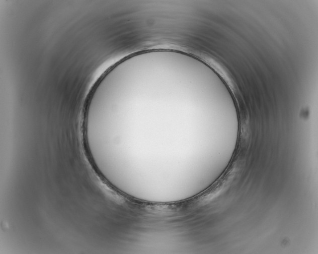 X0000090751149200708172022