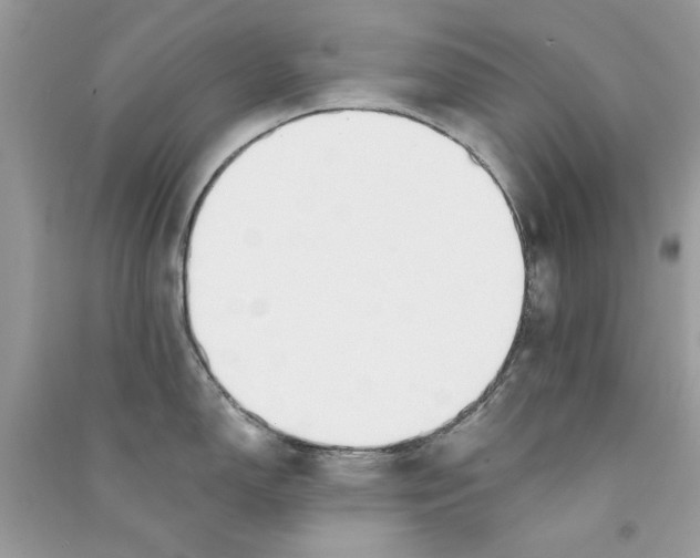 X0000090751150200708172022