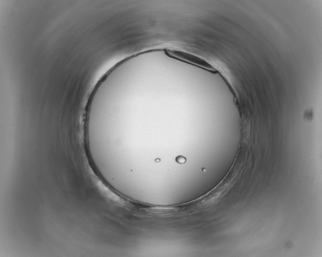 X0000090751151200708172022