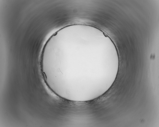 X0000090751152200708172022