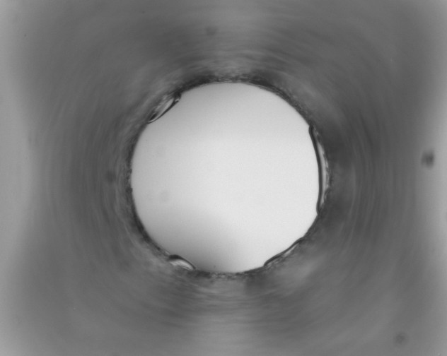 X0000090751153200708172022