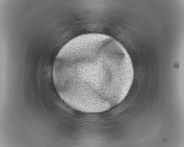 X0000090751154200708172022