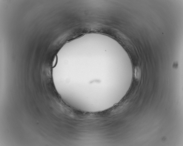 X0000090751155200708172022