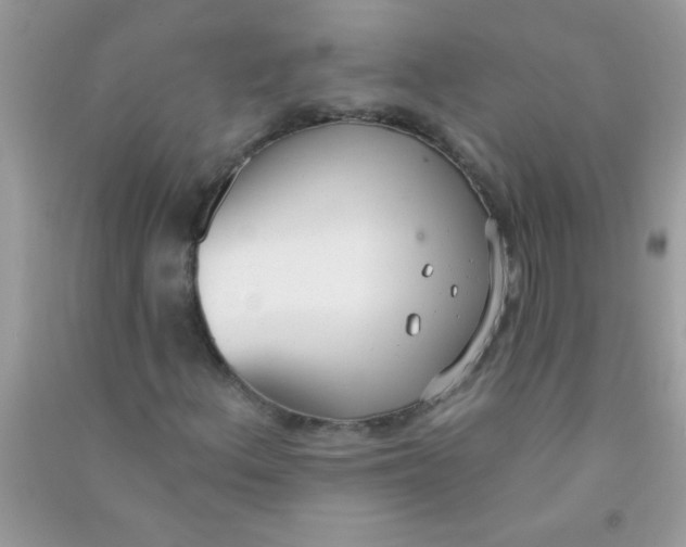 X0000090751156200708172022
