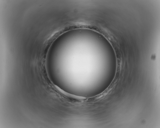 X0000090751157200708172022