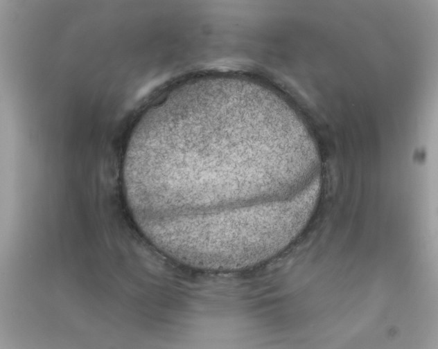 X0000090751158200708172022