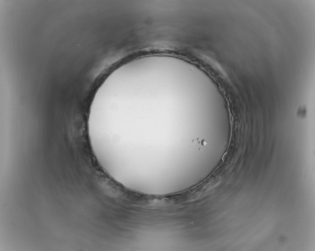 X0000090751160200708172021