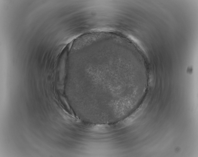X0000090751161200708172021