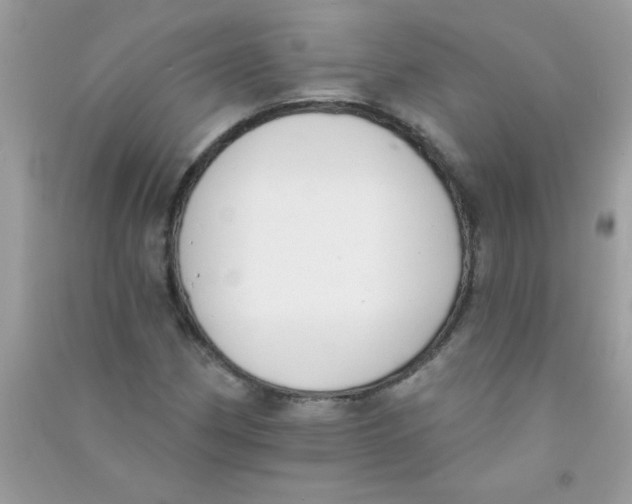 X0000090751162200708172021