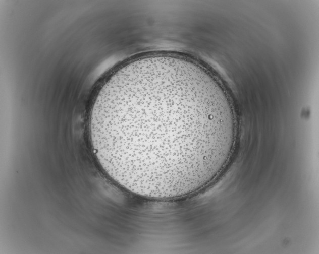 X0000090751163200708172021