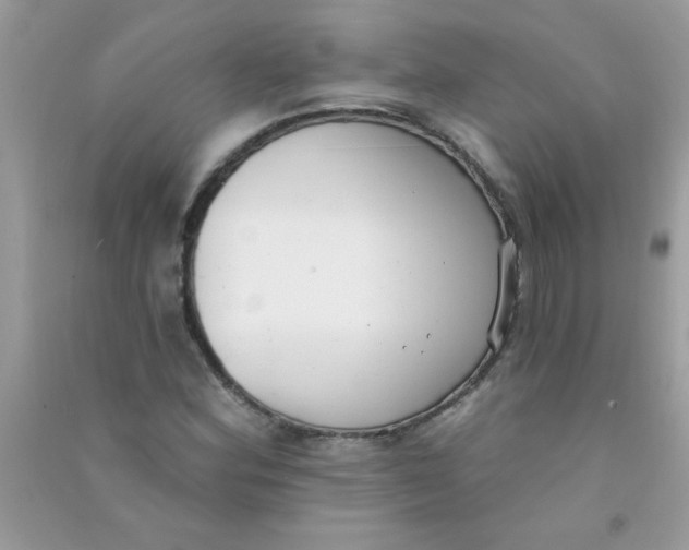 X0000090751164200708172021