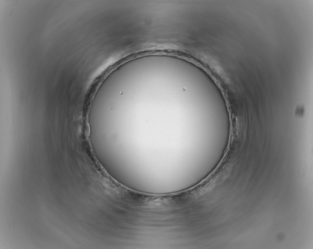 X0000090751165200708172021