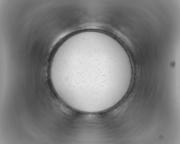 X0000090751166200708172021