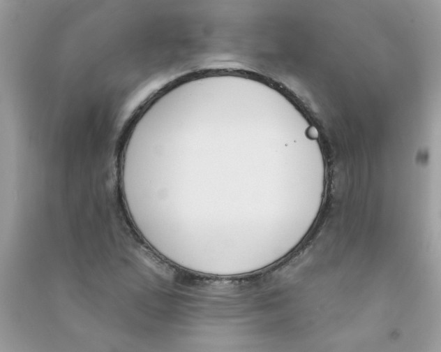 X0000090751167200708172021