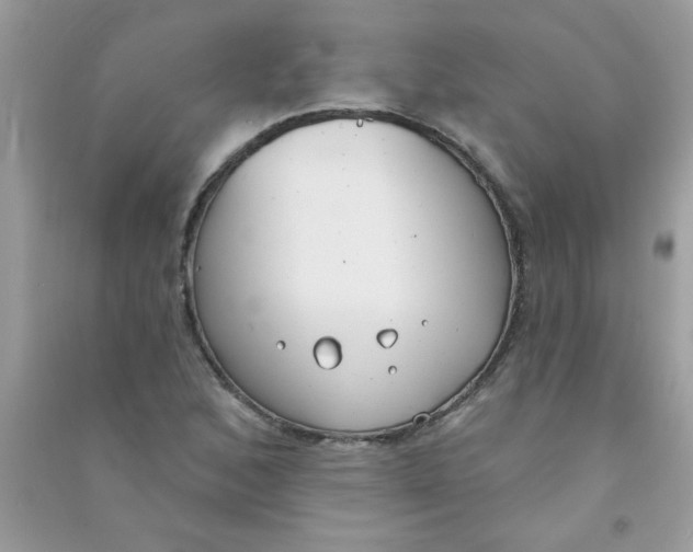 X0000090751168200708172021