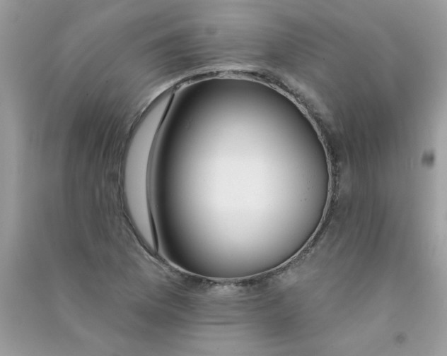 X0000090751169200708172021