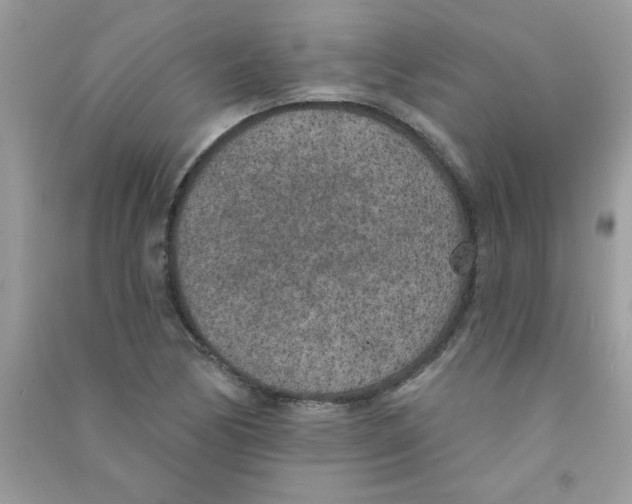 X0000090751170200708172021