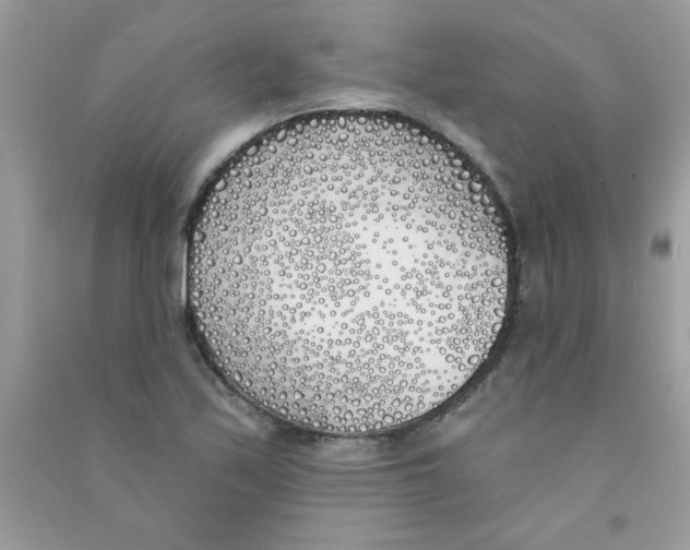 X0000090751171200708172021