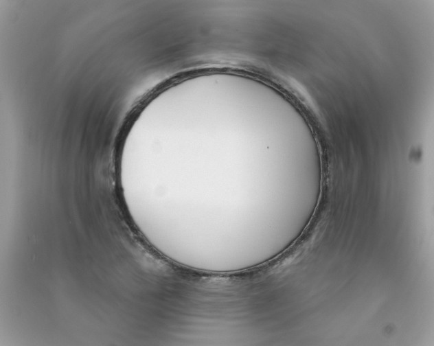 X0000090751172200708172021