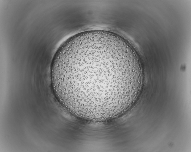 X0000090751174200708172021