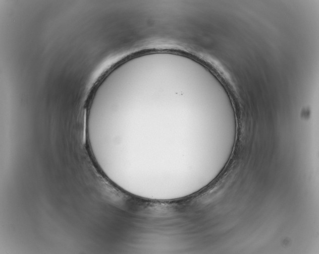 X0000090751175200708172021