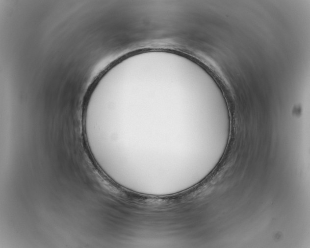 X0000090751176200708172021