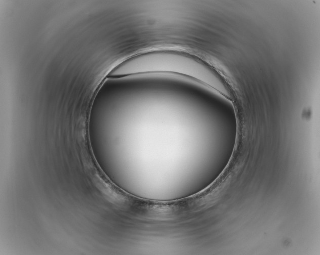 X0000090751177200708172021