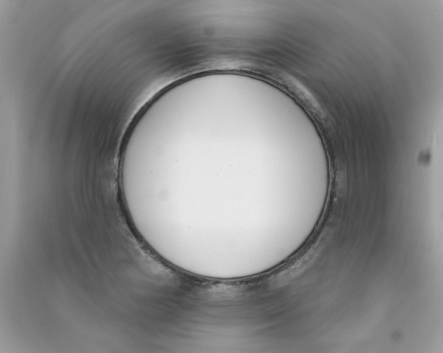 X0000090751178200708172021