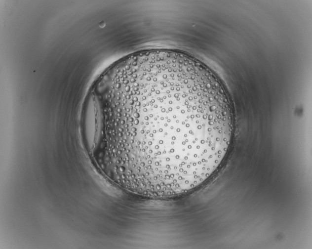 X0000090751179200708172021