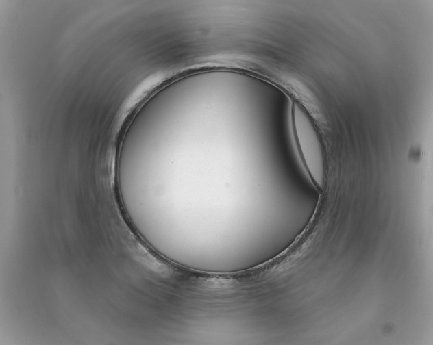 X0000090751180200708172021