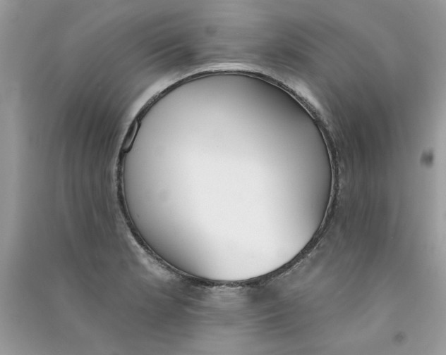 X0000090751181200708172021