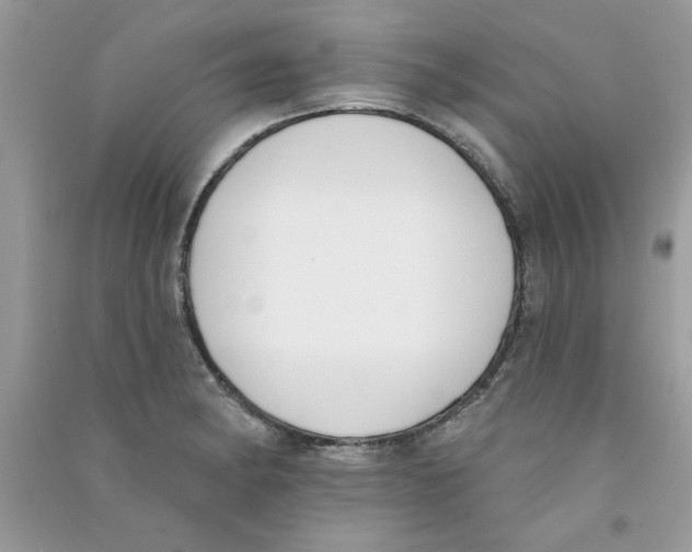 X0000090751182200708172021