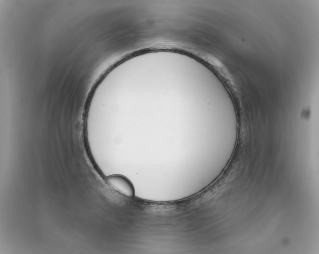 X0000090751183200708172021