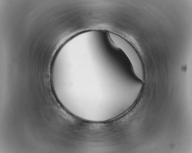 X0000090751184200708172021