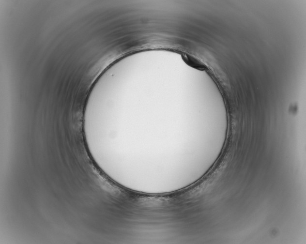 X0000090751185200708172021