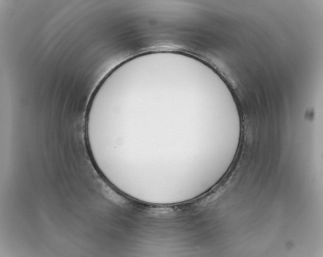 X0000090751186200708172021