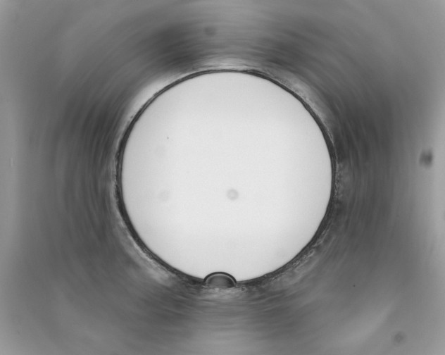 X0000090751187200708172021