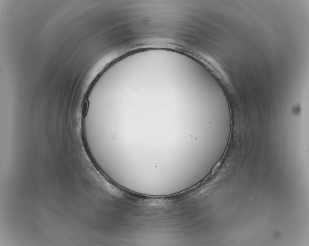 X0000090751188200708172021