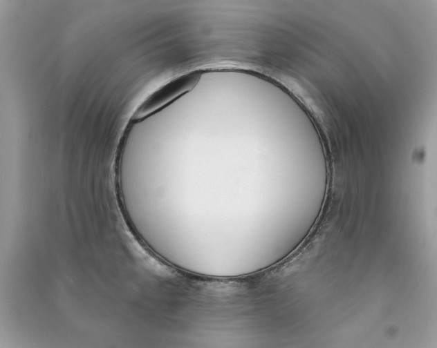 X0000090751189200708172021