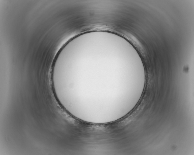 X0000090751190200708172021