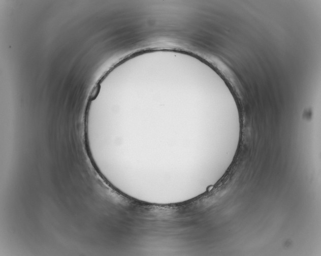 X0000090751191200708172021